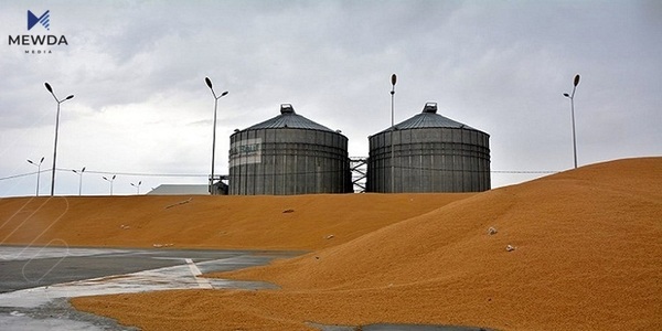 باڵندەکانی عیراق بە تۆمەتێکی سەیر تۆمەتبار دەکرێن