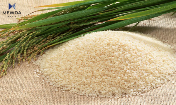 لە سلێمانی برنجی کوردی بەرهەم دەهێنرێت