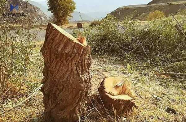 بڕی سزای ئەنجامدانی ئەم کارە لە شاری سلێمانی دیاریکرا